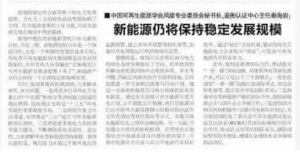 秦海巖： 新能源仍將保持穩定發展規模