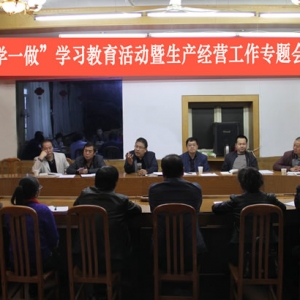 公司組織召開(kāi)“兩學(xué)一做”學(xué)習(xí)教育活動(dòng)暨生產(chǎn)經(jīng)營(yíng)工作專題會(huì)議