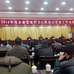 公司領(lǐng)導(dǎo)參加全市2016年度企業(yè)黨組織書(shū)記抓基層 黨建工作述職大會(huì)