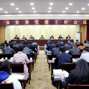 天水市召開全市企業黨建工作會議(組圖)