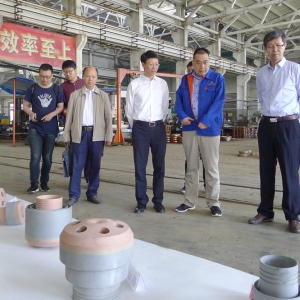 天水市副市長劉驍一行來我公司調研考察